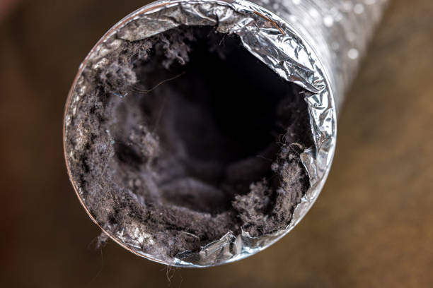 Best Affordable Air Duct Cleaning  in East St Louis, IL
